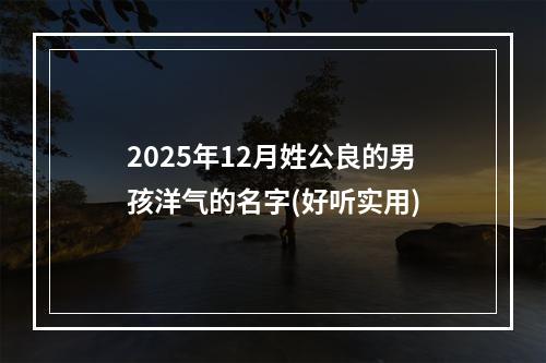 2025年12月姓公良的男孩洋气的名字(好听实用)