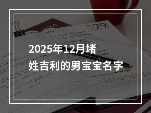 2025年12月堵姓吉利的男宝宝名字