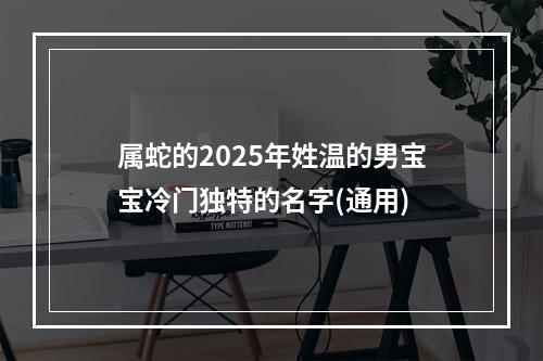 属蛇的2025年姓温的男宝宝冷门独特的名字(通用)