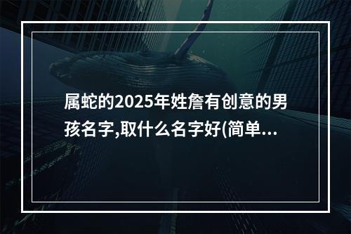 属蛇的2025年姓詹有创意的男孩名字,取什么名字好(简单)
