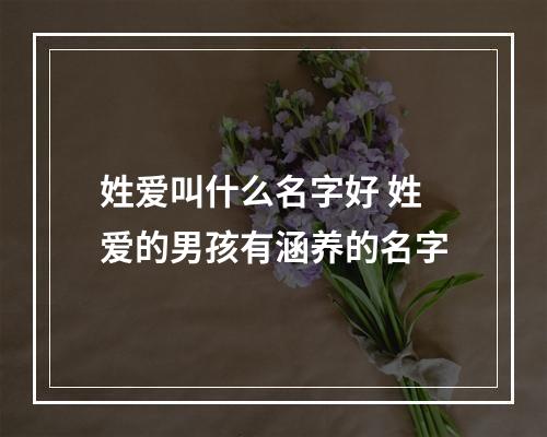 姓爱叫什么名字好 姓爱的男孩有涵养的名字