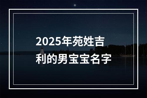 2025年苑姓吉利的男宝宝名字