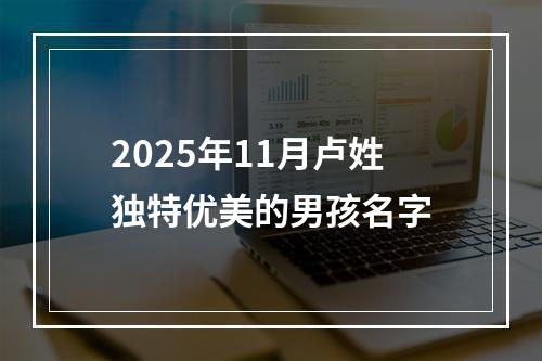 2025年11月卢姓独特优美的男孩名字