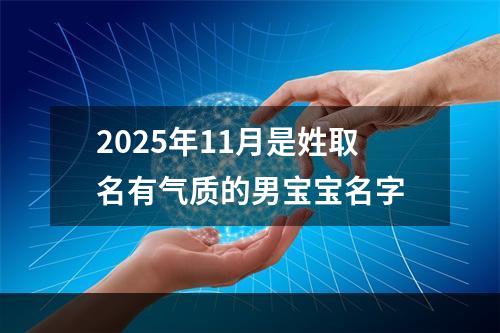 2025年11月是姓取名有气质的男宝宝名字