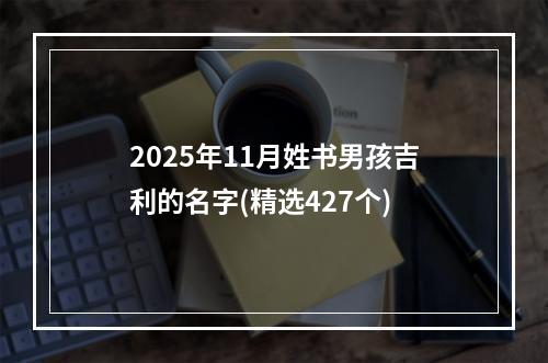 2025年11月姓书男孩吉利的名字(精选427个)