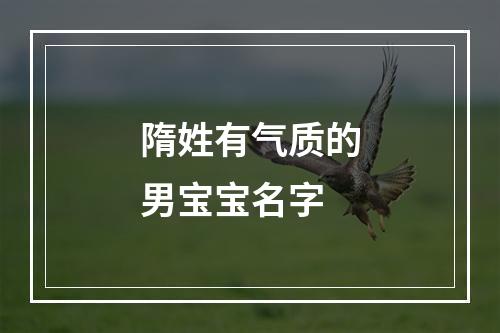隋姓有气质的男宝宝名字