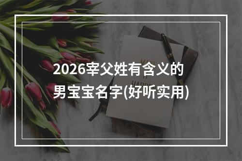 2026宰父姓有含义的男宝宝名字(好听实用)