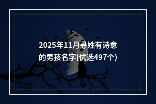 2025年11月寻姓有诗意的男孩名字(优选497个)