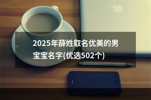 2025年薛姓取名优美的男宝宝名字(优选502个)