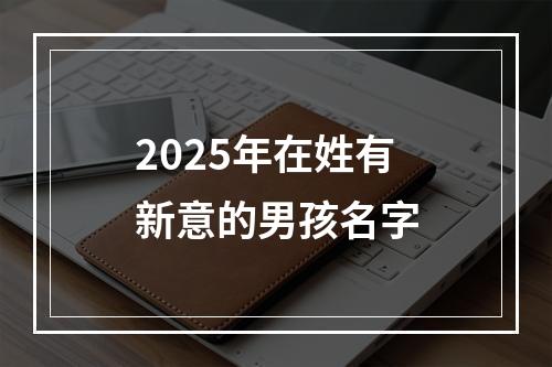 2025年在姓有新意的男孩名字