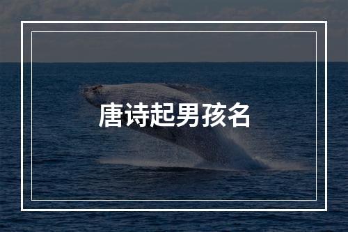 唐诗起男孩名