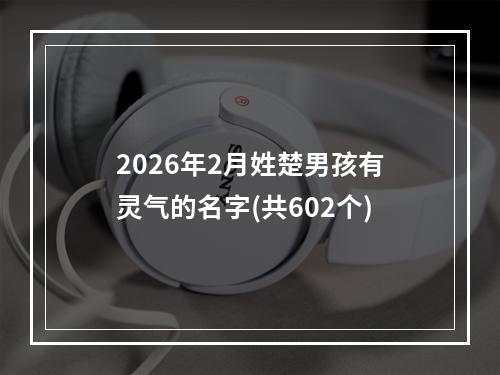 2026年2月姓楚男孩有灵气的名字(共602个)