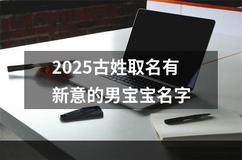2025古姓取名有新意的男宝宝名字