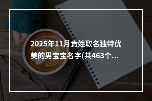 2025年11月贲姓取名独特优美的男宝宝名字(共463个)