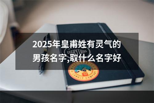 2025年皇甫姓有灵气的男孩名字,取什么名字好