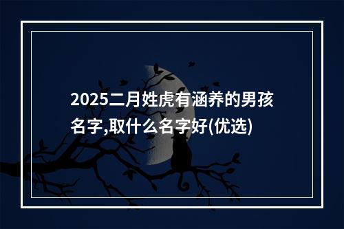 2025二月姓虎有涵养的男孩名字,取什么名字好(优选)
