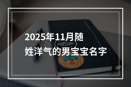 2025年11月随姓洋气的男宝宝名字