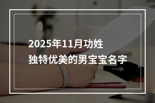 2025年11月功姓独特优美的男宝宝名字