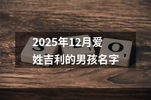 2025年12月爱姓吉利的男孩名字