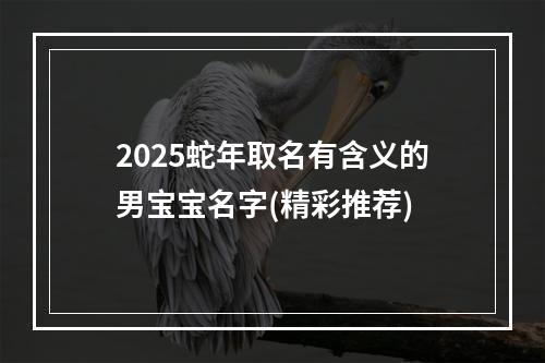 2025蛇年取名有含义的男宝宝名字(精彩推荐)