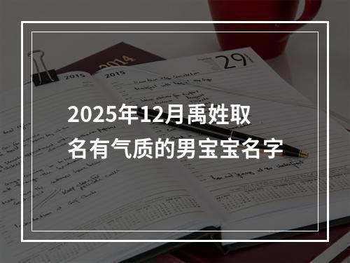 2025年12月禹姓取名有气质的男宝宝名字