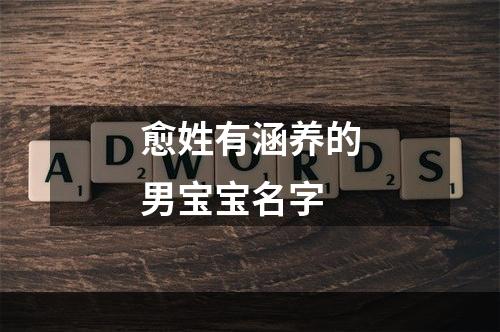 愈姓有涵养的男宝宝名字