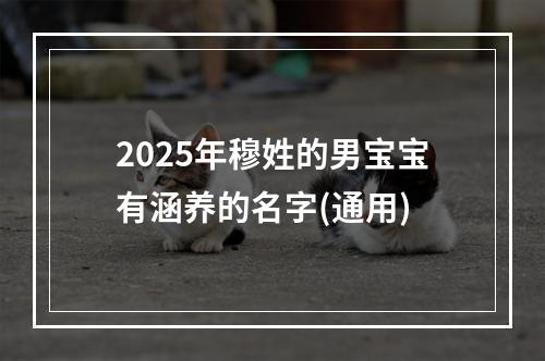 2025年穆姓的男宝宝有涵养的名字(通用)
