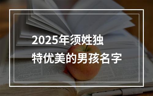 2025年须姓独特优美的男孩名字