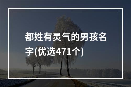 都姓有灵气的男孩名字(优选471个)