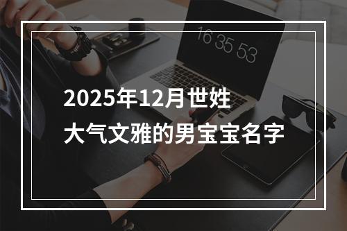 2025年12月世姓大气文雅的男宝宝名字