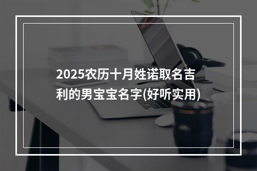 2025农历十月姓诺取名吉利的男宝宝名字(好听实用)