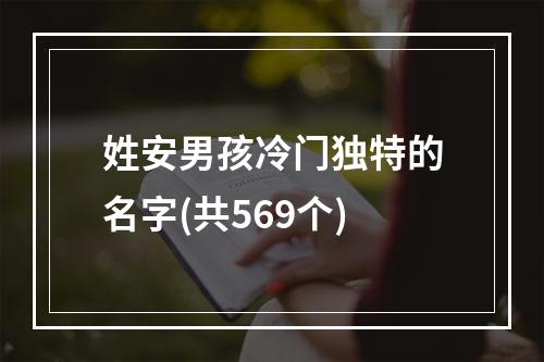 姓安男孩冷门独特的名字(共569个)
