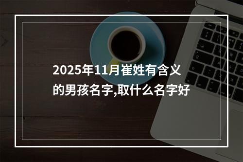 2025年11月崔姓有含义的男孩名字,取什么名字好