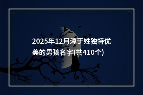 2025年12月淳于姓独特优美的男孩名字(共410个)