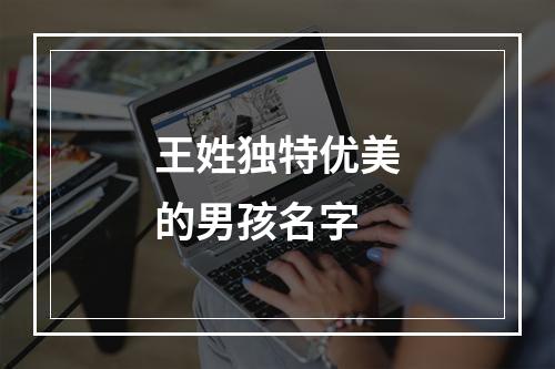 王姓独特优美的男孩名字