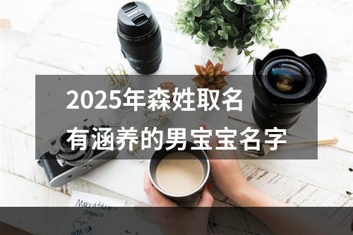 2025年森姓取名有涵养的男宝宝名字