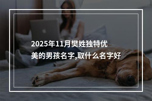 2025年11月樊姓独特优美的男孩名字,取什么名字好