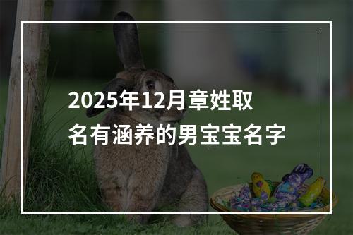2025年12月章姓取名有涵养的男宝宝名字