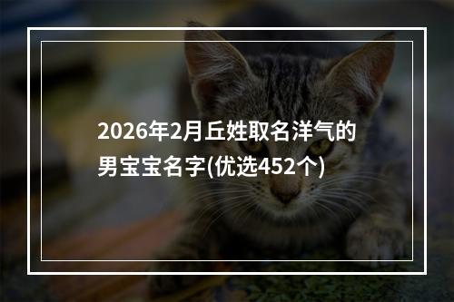 2026年2月丘姓取名洋气的男宝宝名字(优选452个)