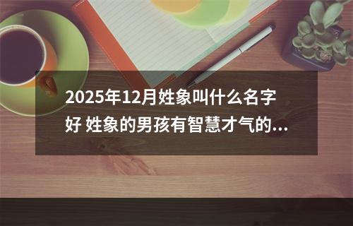 2025年12月姓象叫什么名字好 姓象的男孩有智慧才气的名字