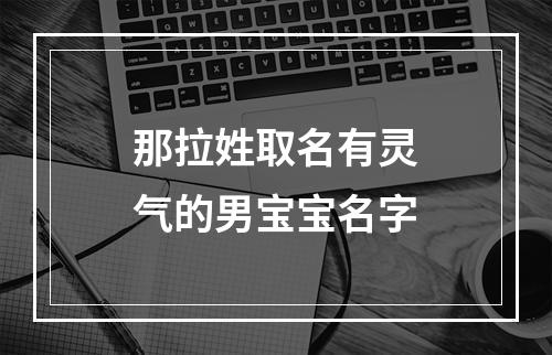 那拉姓取名有灵气的男宝宝名字