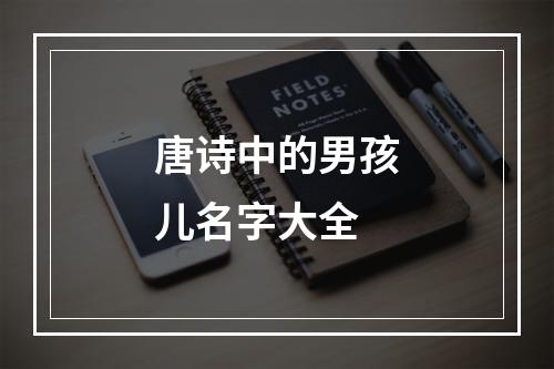 唐诗中的男孩儿名字大全