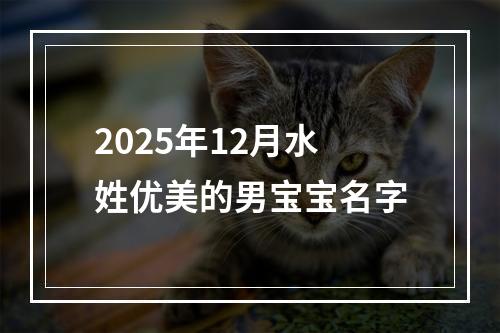 2025年12月水姓优美的男宝宝名字