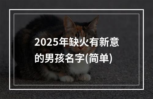 2025年缺火有新意的男孩名字(简单)