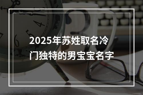 2025年苏姓取名冷门独特的男宝宝名字