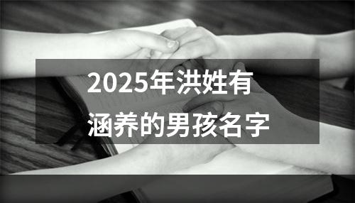 2025年洪姓有涵养的男孩名字
