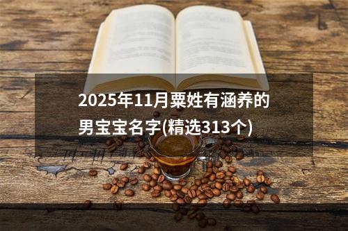 2025年11月粟姓有涵养的男宝宝名字(精选313个)