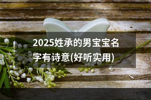 2025姓承的男宝宝名字有诗意(好听实用)