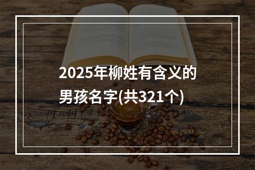 2025年柳姓有含义的男孩名字(共321个)