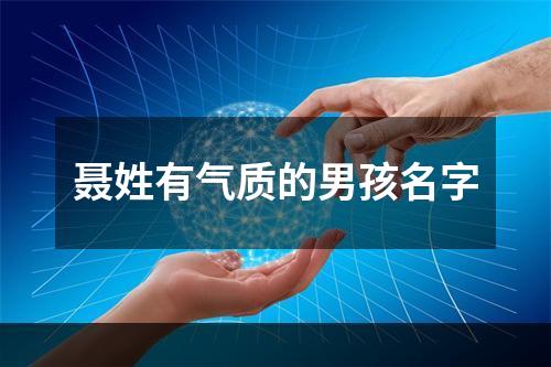 聂姓有气质的男孩名字